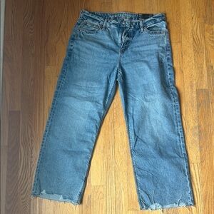American Eagle Curvy Stovepipe Blue Jeans (short inseam)